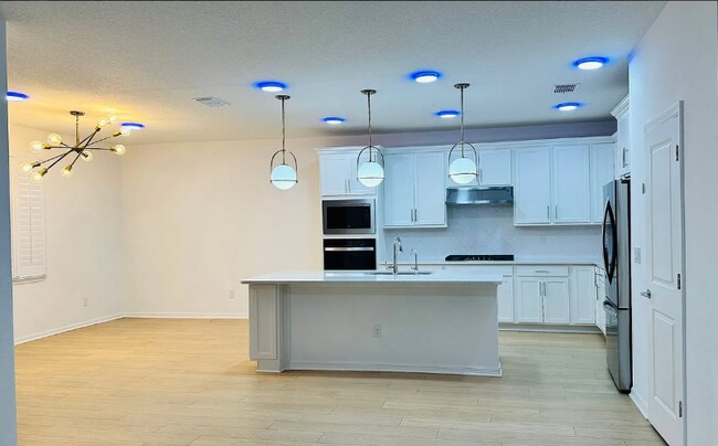 20835 Magnolia Crk Ln in Land O Lakes, FL - Building Photo - Building Photo