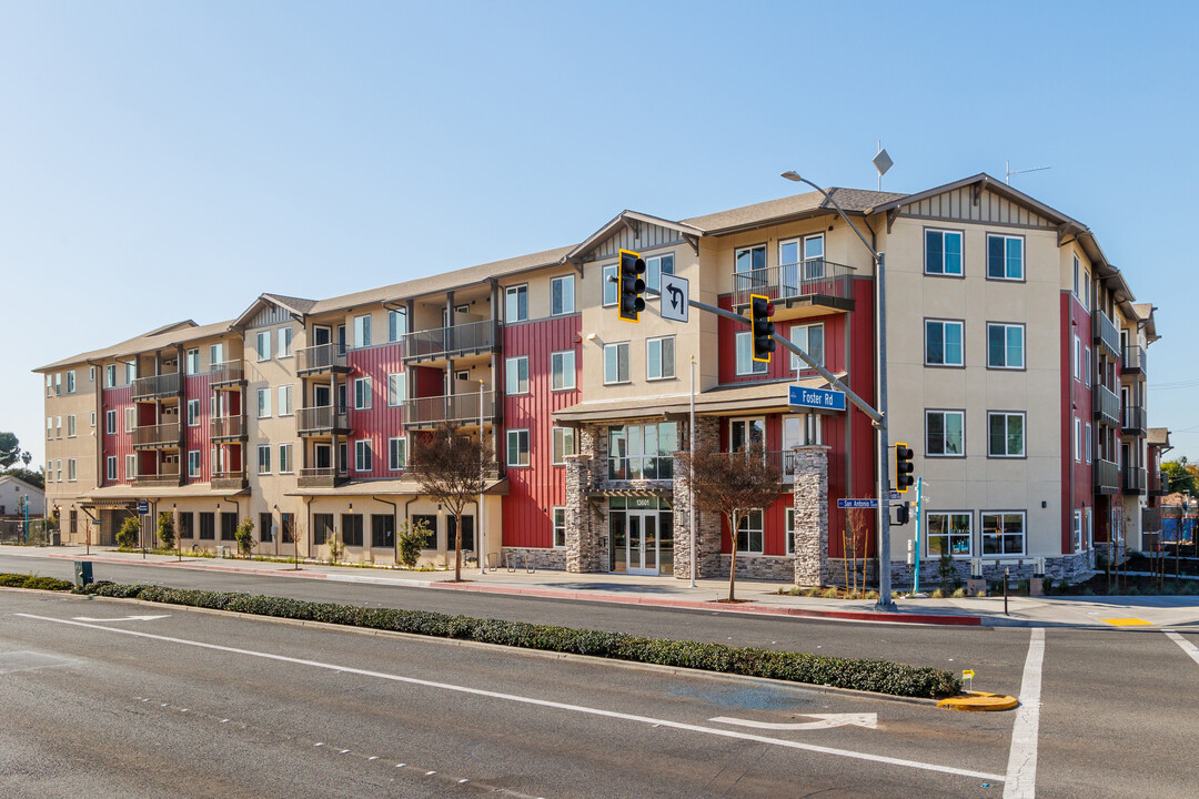 Veteran Villas at San Antonio Drive in Norwalk, CA - Building Photo