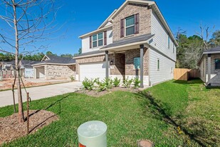 1443 Cedar Plns Ct in Conroe, TX - Building Photo - Building Photo