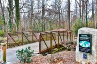 Fern Forest photo'