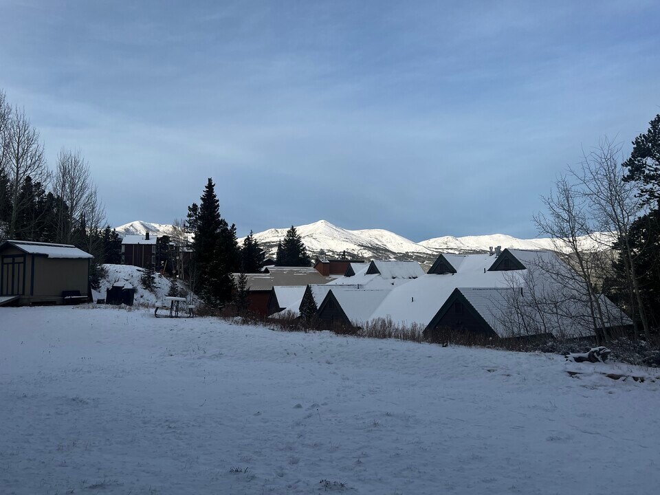 303 Overlook Dr, Unit 1A in Breckenridge, CO - Foto de edificio