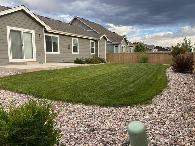 6937 Grassy Range Dr in Wellington, CO - Building Photo - Building Photo