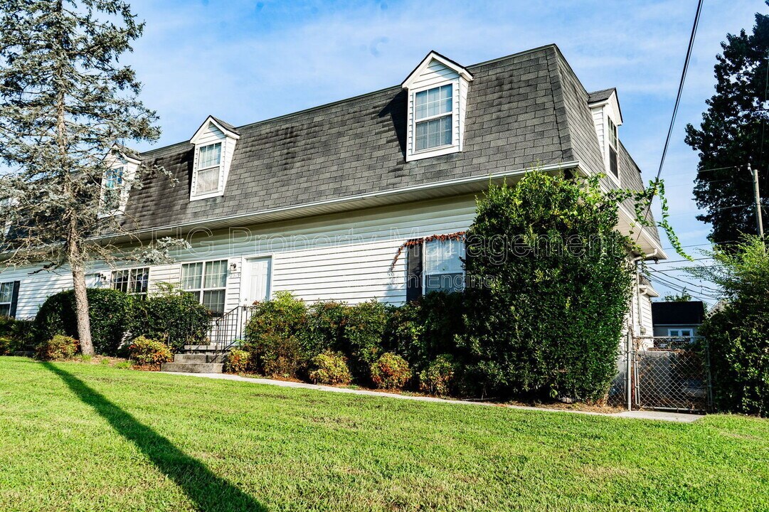 2519 Cedar Ln in Knoxville, TN - Building Photo