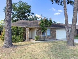 11127 Fall Breeze Dr in Houston, TX - Building Photo