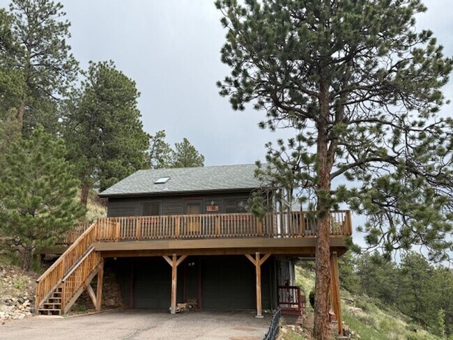 148 Spruce Trail in Bailey, CO - Building Photo - Building Photo