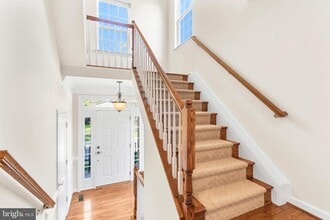 4509 Rhett Ln in Fairfax, VA - Building Photo - Building Photo