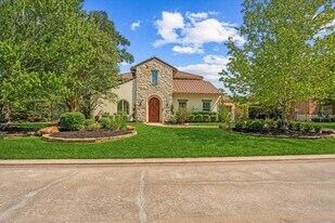 19 Paloma Bend Pl in Spring, TX - Building Photo