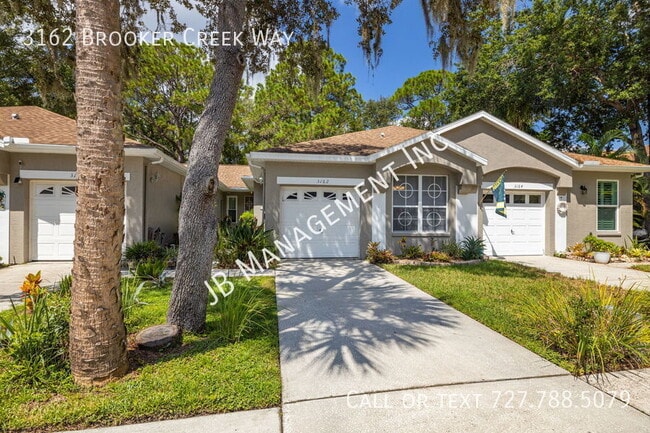 3162 Brooker Creek Way in Palm Harbor, FL - Building Photo - Building Photo