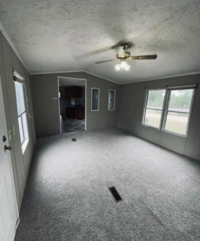 472 Whatley Farm Rd in Helena, GA - Building Photo - Building Photo