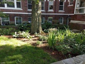 4 Arlington St-Unit -Apt 8 in Cambridge, MA - Building Photo - Building Photo