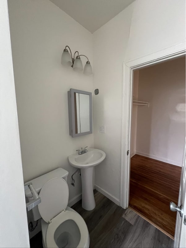 904 S Catalina St in Los Angeles, CA - Building Photo - Building Photo