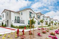 San Carlo Townhomes in Highland, CA - Building Photo - Building Photo