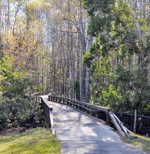 12501 Cold Stream Dr, Unit #408 in Ft. Myers, FL - Building Photo - Building Photo