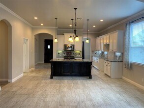 437 Mistflower Springs Dr in Leander, TX - Building Photo - Building Photo