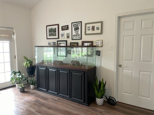 1104 Buffalo Gap Rd in Austin, TX - Foto de edificio - Building Photo