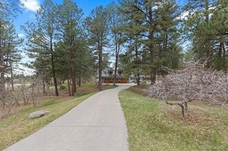 689 Red Deer Rd in Franktown, CO - Building Photo - Building Photo