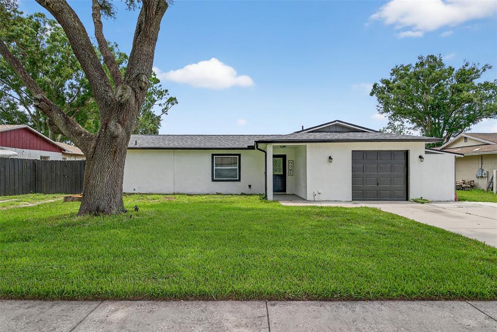 17821 Morninghigh Dr in Lutz, FL - Building Photo