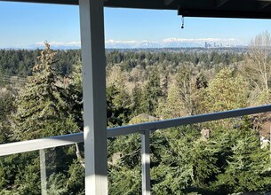13603 SE 55th Pl in Bellevue, WA - Building Photo - Building Photo