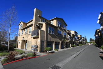 Olive Grove Apartments in Santa Rosa, CA - Building Photo - Building Photo