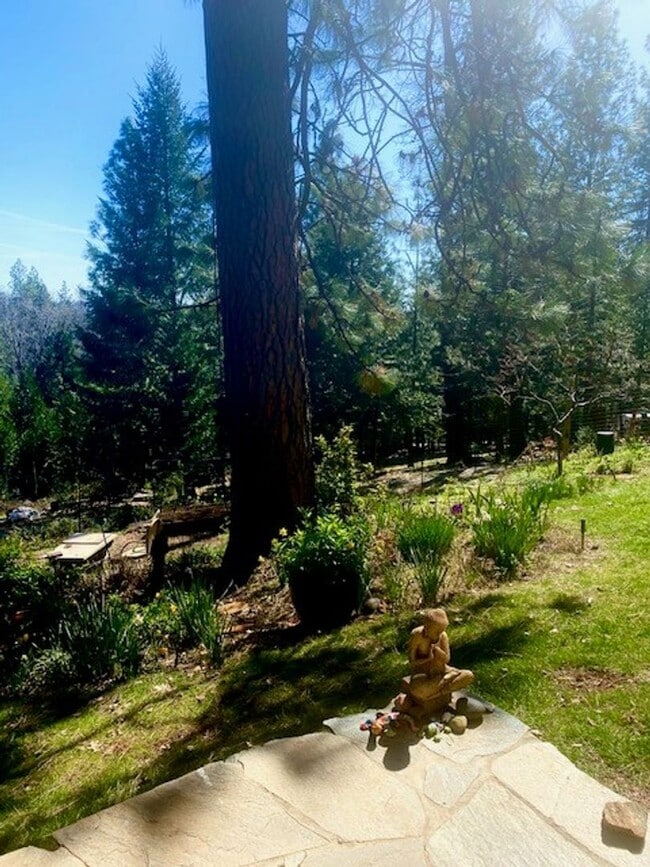 property at 14200 Tahoe View Dr