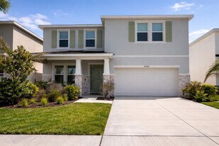 33546 Darley Dl Trl in Wesley Chapel, FL - Building Photo