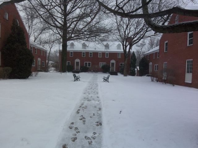 Fredonia in Fredonia, NY - Building Photo - Building Photo