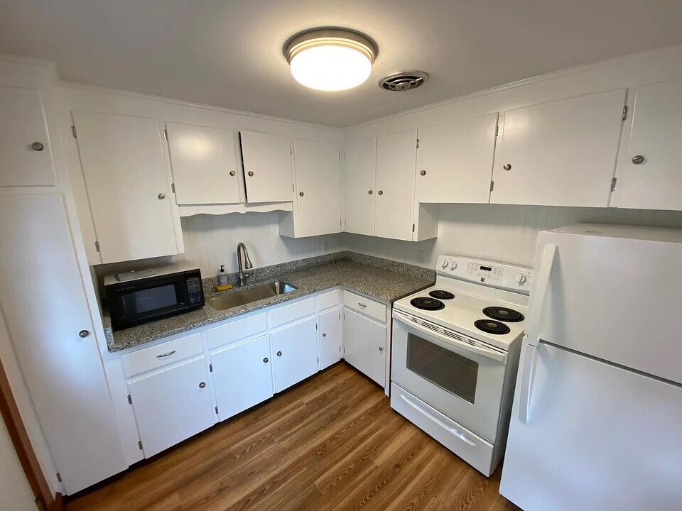 247 South St in Waltham, MA - Building Photo