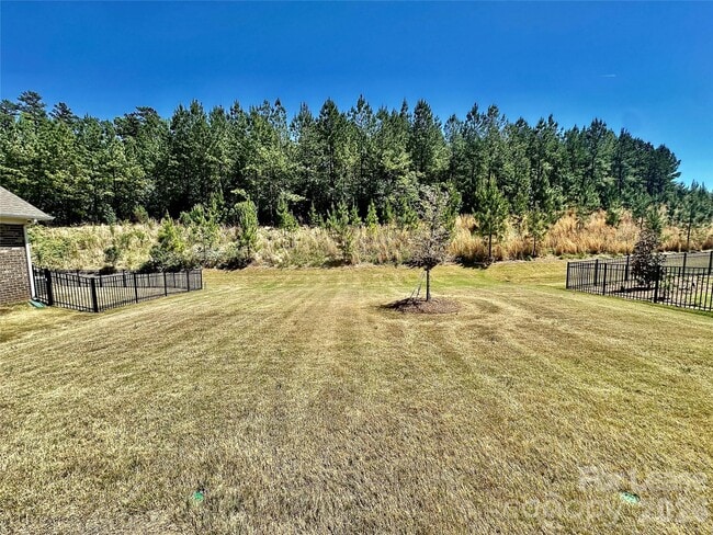 9650 Liberty Hill Dr in Mint Hill, NC - Building Photo - Building Photo