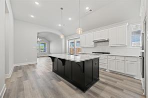 1504 Pintail Pl in Celina, TX - Building Photo - Building Photo