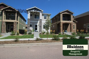 2394 Falkirk Dr in Colorado Springs, CO - Building Photo