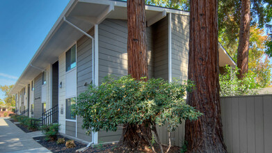 Lorien Ivy in Santa Clara, CA - Foto de edificio - Building Photo