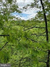 346 Spitz Ln in Basye, VA - Building Photo - Building Photo