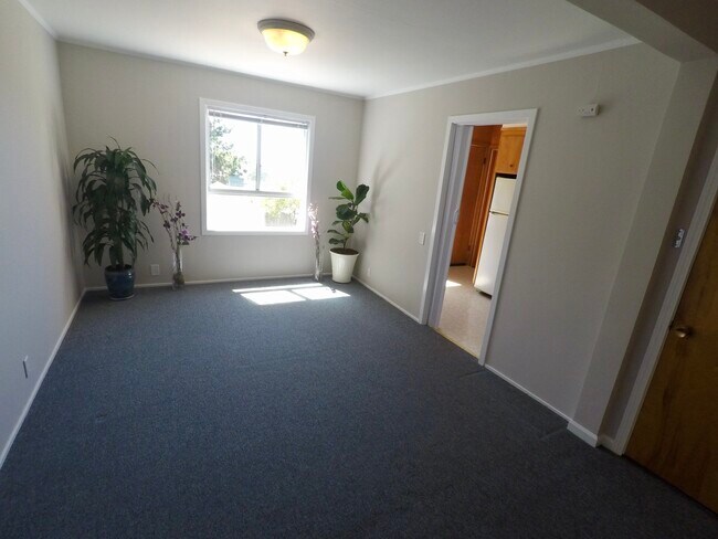 247 Byxbee St in San Francisco, CA - Building Photo - Building Photo