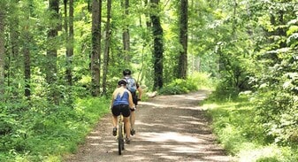 256 Bent Creek Ranch Rd in Asheville, NC - Building Photo