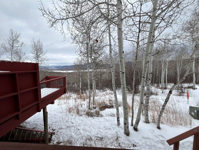 23015 Schussmark Trail in Oak Creek, CO - Building Photo - Building Photo