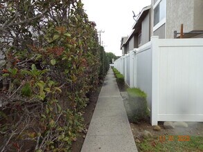 19 Bahia Cir in Santa Paula, CA - Building Photo - Building Photo