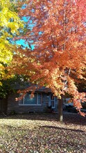 6009 Wooddale Ave in Minneapolis, MN - Foto de edificio - Building Photo