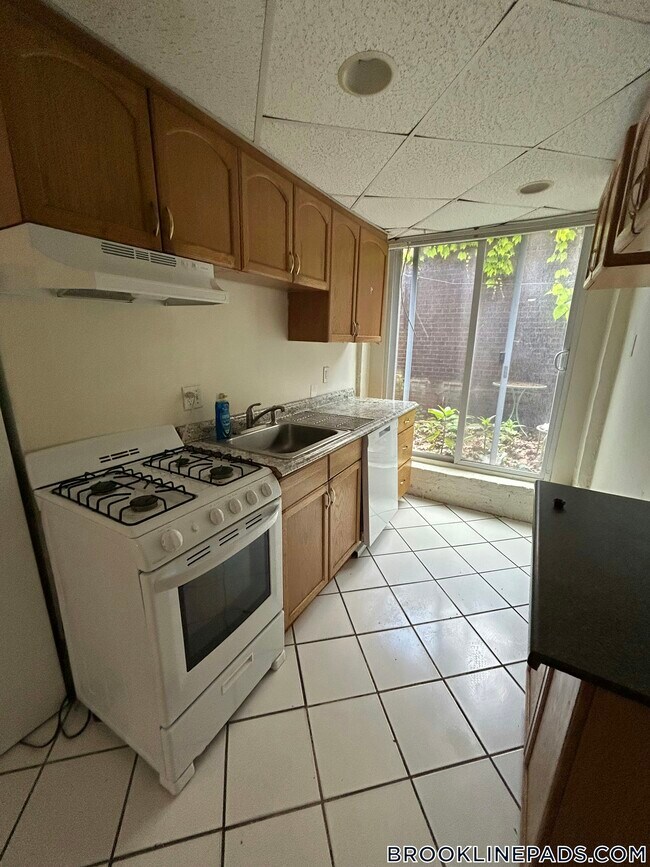 352 Riverway in Boston, MA - Building Photo - Building Photo