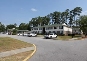Parkway Village Apartments in Summerville, SC - Building Photo