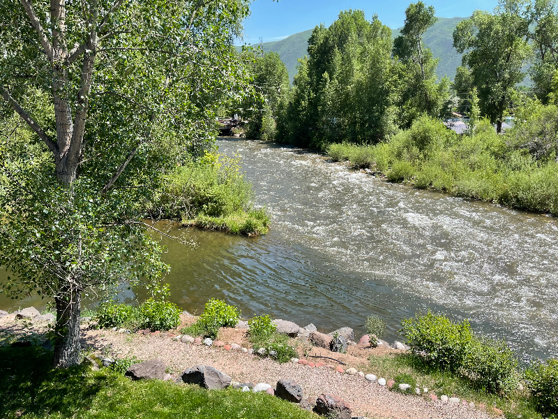 655 Gold Rivers Ct in Basalt, CO - Building Photo