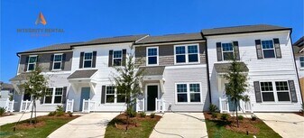 11016 Woodland Crk Wy in Charlotte, NC - Building Photo
