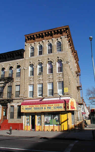 237 Lefferts Ave in Brooklyn, NY - Building Photo