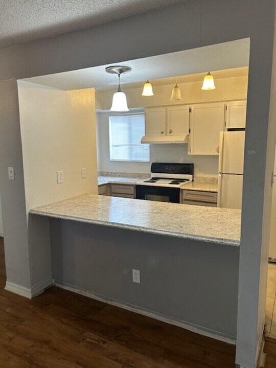 1113 Ohio Ave in Dunedin, FL - Building Photo