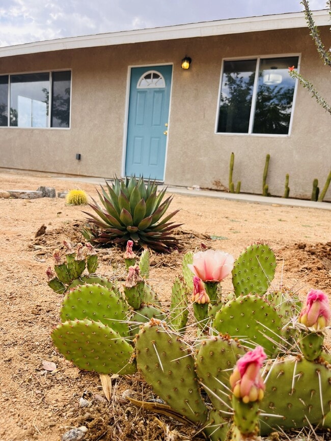 property at 58278 Del Mar St