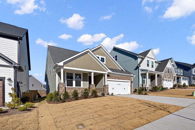 253 Murray Grey Ln in Wake Forest, NC - Building Photo - Building Photo