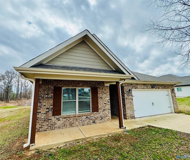 property at 336 Shady Ln