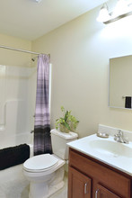 The Apartments at Ames Privilege in Chicopee, MA - Building Photo - Building Photo