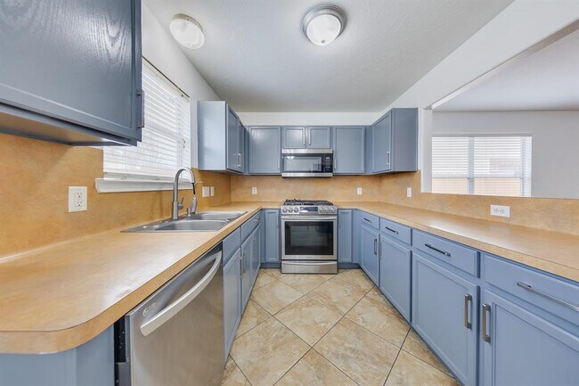 1415 Grayford Ct in Houston, TX - Building Photo - Building Photo