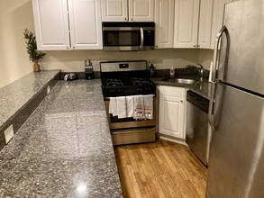 74 Egmont St, Unit 5 in Brookline, MA - Building Photo - Building Photo