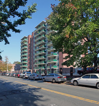 Harvard Towers in Cambridge, MA - Building Photo - Building Photo